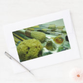 Penselen en verf rechthoekige sticker (Envelop)