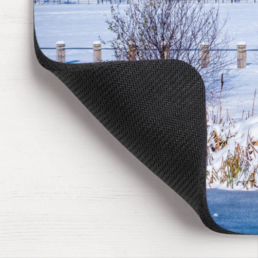 Penshaw Monument Muismat (Hoek)