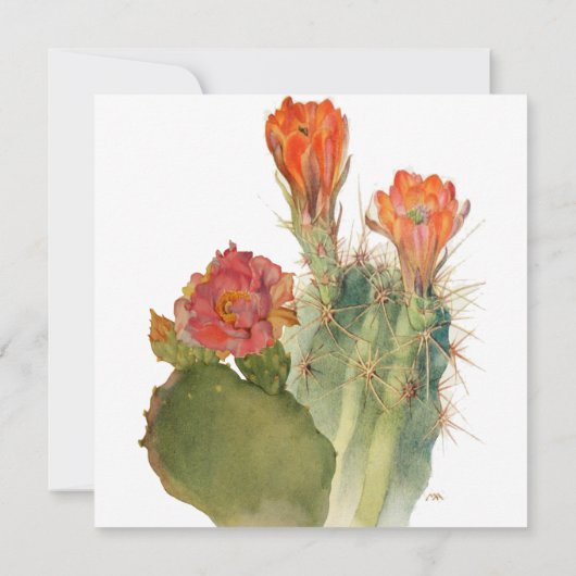 Pensioen Fiesta Cactus Floral Waterverf Script Kaart (Achterkant)