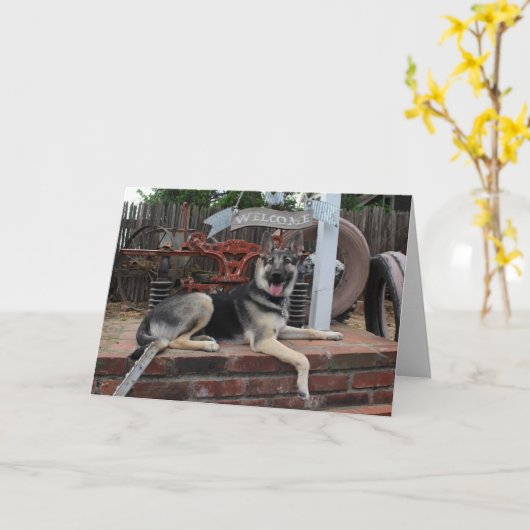 Pensioen Geluks Hond Duitse Herder Kaart (Gele Bloem)