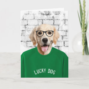 pensioen golden retriever in groene t-shirt kaart
