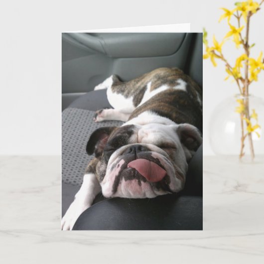 Pensioen, het wordt makkelijker kaart (Gele Bloem)