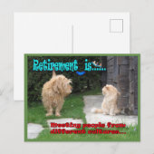 Pensioen: nu kun je je horizon verbreden briefkaart (Voorkant / Achterkant)