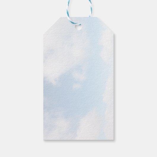 Pensioen Party Gift Label met Vliegtuigontwerp 2 Cadeaulabel (Achterkant)