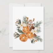 Pensioen Party uitnodiging wintergroen (Achterkant)