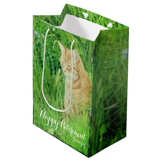 Pensioen-slapende gemberkat in een weide medium cadeauzakje (Voorkant Gekanteld)