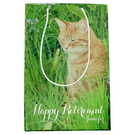 Pensioen-slapende gemberkat in een weide medium cadeauzakje (Voorkant)