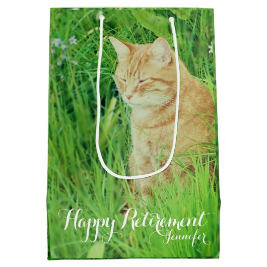 Pensioen-slapende gemberkat in een weide medium cadeauzakje (Achterkant)