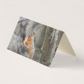 Pensioen Visitekaartje (Voorkant)