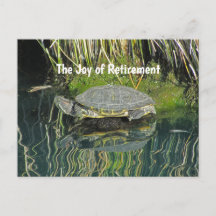 Pensioenschildpad met waterreflectie-Natuur
