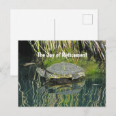 Pensioenschildpad met waterreflectie-Natuur Briefkaart (Voorkant / Achterkant)