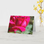 Pensioenuitkering Kaart (Gele Bloem)