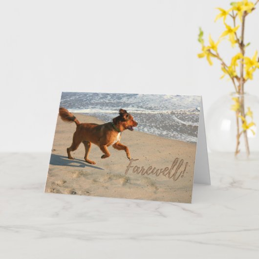Pensioenvlucht met hond op het strand kaart (Gele Bloem)