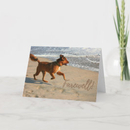 Pensioenvlucht met hond op het strand kaart
