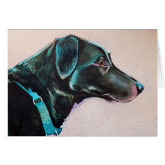 Pensive Black Dog