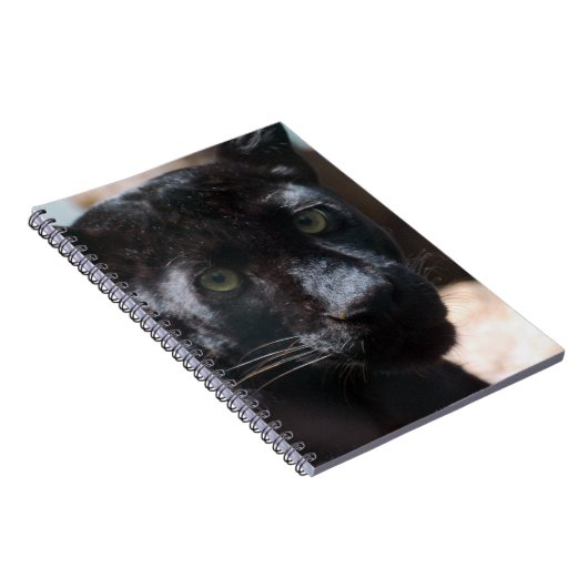 Pensive Black Panther Notitieboek (Rechterzijde)