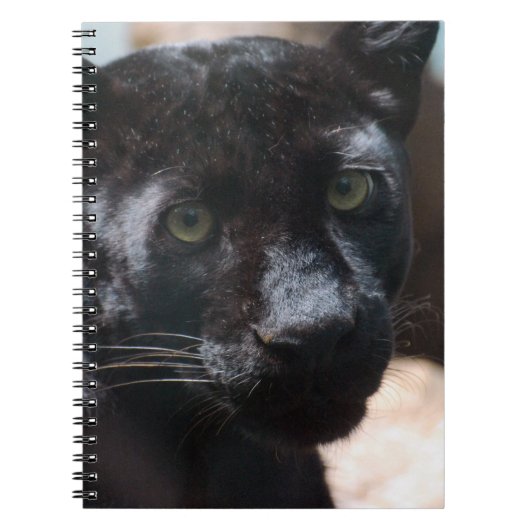 Pensive Black Panther Notitieboek (Voorkant)