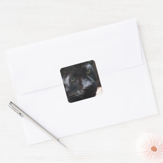 Pensive Black Panther Vierkante Sticker (Envelop)