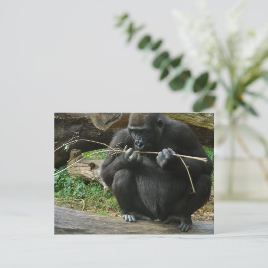 Pensive Gorilla Briefkaart (Staand voorkant)