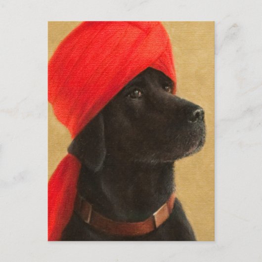 Pensive Maharaja 2010 Briefkaart (Voorkant)