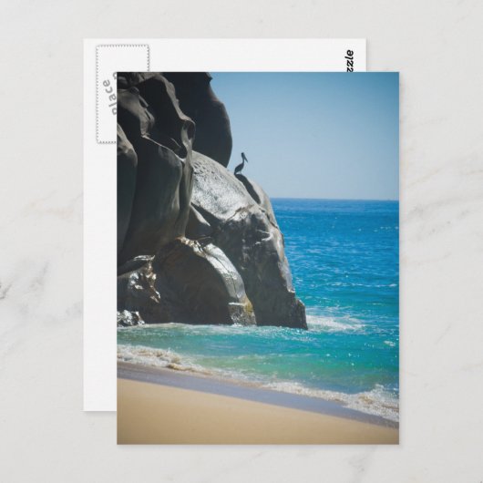 Pensive Pelican Briefkaart (Voorkant / Achterkant)