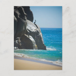 Pensive Pelican Briefkaart