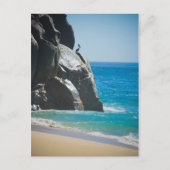 Pensive Pelican Briefkaart (Voorkant)