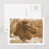 Pensive Primate Briefkaart (Voorkant / Achterkant)