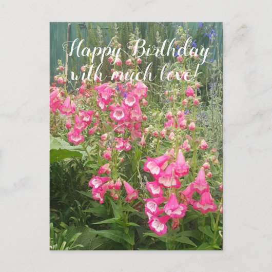 Penstemon Bloementuin bloem Happy Birthday Briefkaart (Voorkant)