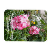 Penstemon Flower Garden floral Birthday Magnet Magneet (Horizontaal)