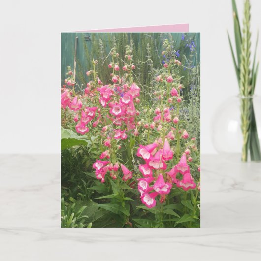 Penstemon Flower Garden floral Happy Birthday Kaar Kaart (Voorkant)