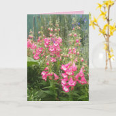 Penstemon Flower Garden floral Happy Birthday Kaar Kaart (Gele Bloem)