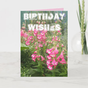 Penstemon Flower Garden floral Happy Birthday Kaar Kaart