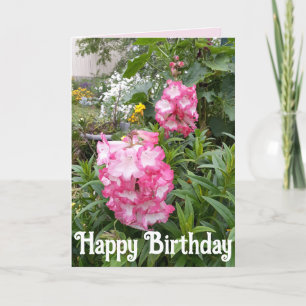 Penstemon Flower Garden floral Happy Birthday Kaar Kaart