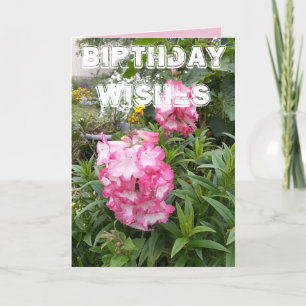 Penstemon Flower Garden floral Happy Birthday Kaar Kaart