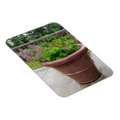 Penstemon Magneet (Rechterzijde)