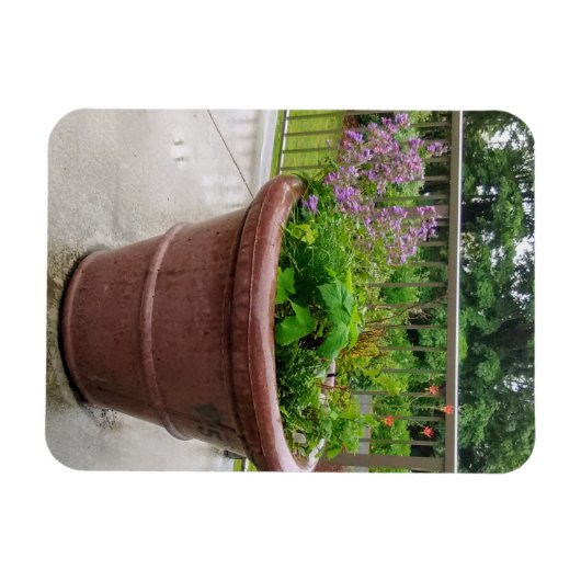 Penstemon Magneet (Horizontaal)