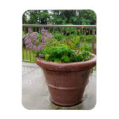 Penstemon Magneet (Verticaal)