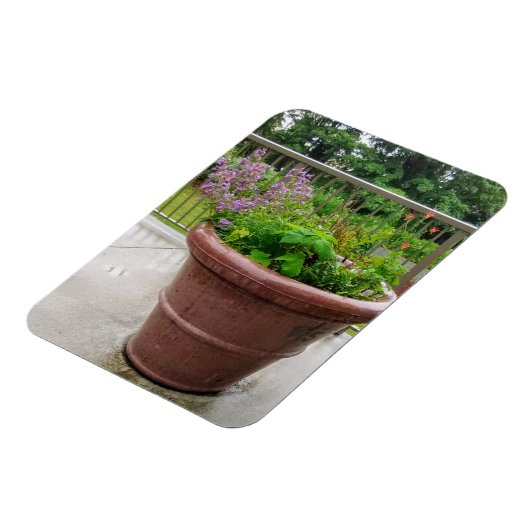 Penstemon Magneet (Linkerzijde)