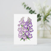 Penstemon Vintage Botanical Postcard Briefkaart (Staand voorkant)