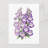 Penstemon Vintage Botanical Postcard Briefkaart (Voorkant)