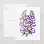 Penstemon Vintage Botanische Ansichtkaart Briefkaart (Voorkant / Achterkant)
