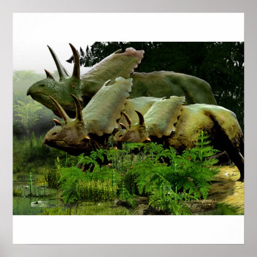 Pentaceratops uit New Mexico Poster (Voorkant)