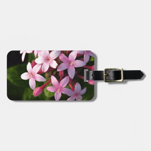 Pentas Bagagelabel (Voorkant horizontaal)