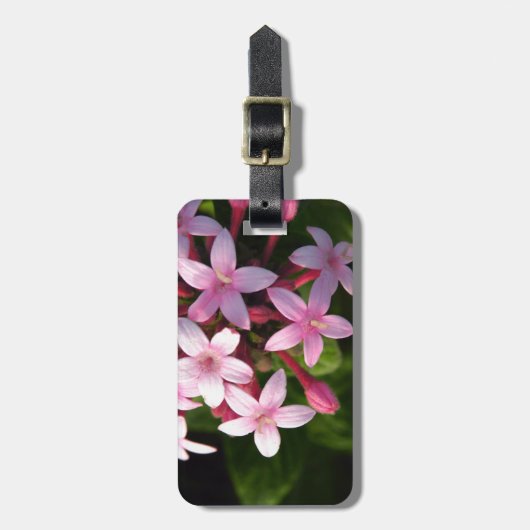 Pentas Bagagelabel (Voorkant verticaal)