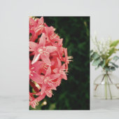 Pentas Briefpapier (Staand voorkant)