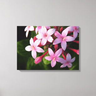 Pentas Canvas Afdruk