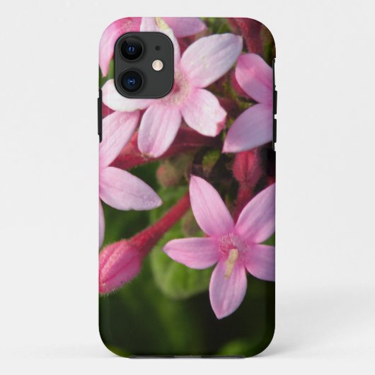 Pentas Case-Mate iPhone Case (Achterkant)
