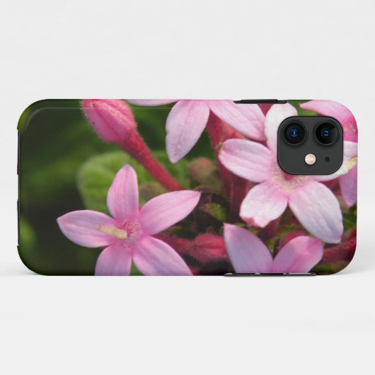 Pentas Case-Mate iPhone Case (Achterkant (horizontaal))