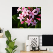 Pentas poster (Thuiskantoor)